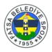 Fatsa Belediyespor