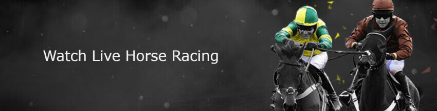 bet365 live horse racing